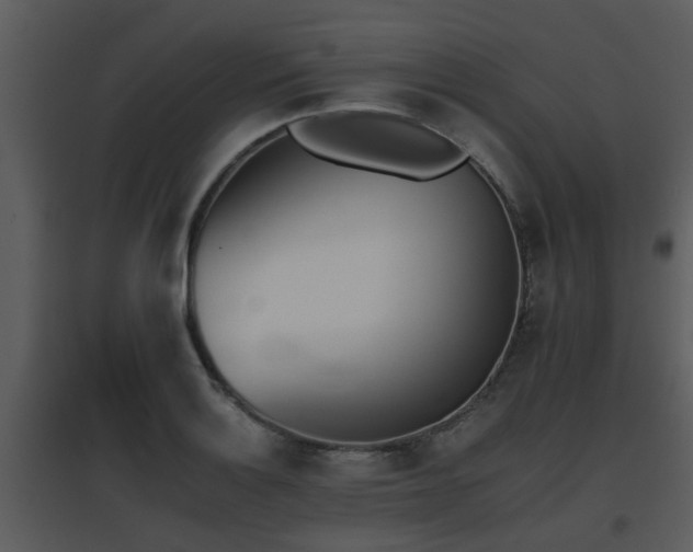 X0000095671132200801081033