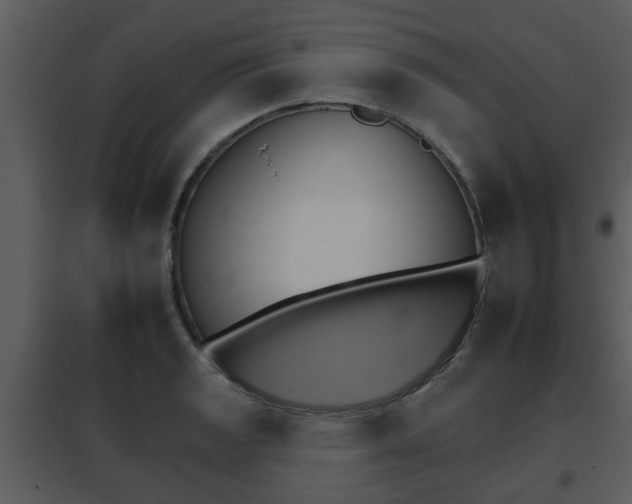 X0000095671133200801081033