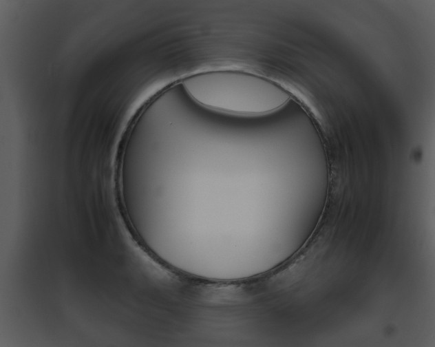 X0000095671135200801081033