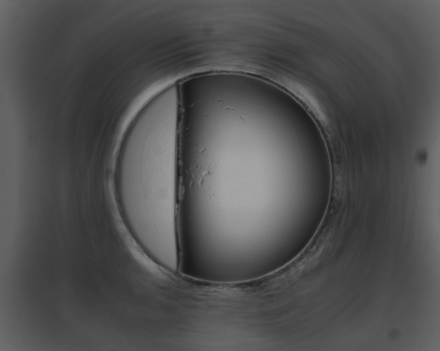 X0000095671136200801081033