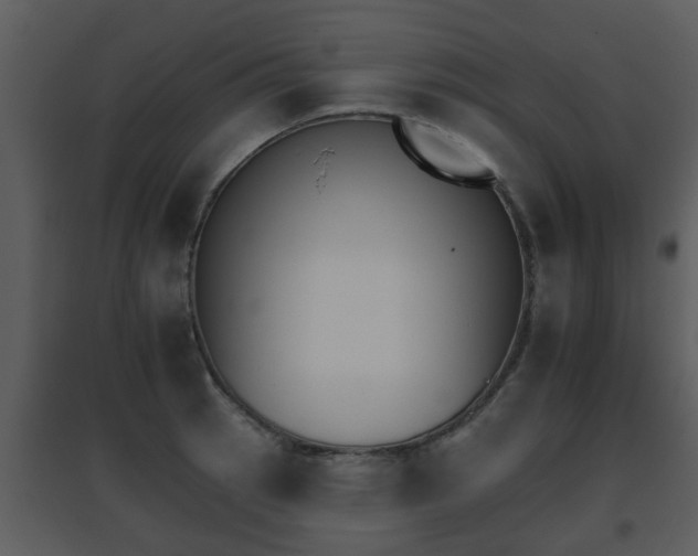 X0000095671137200801081033