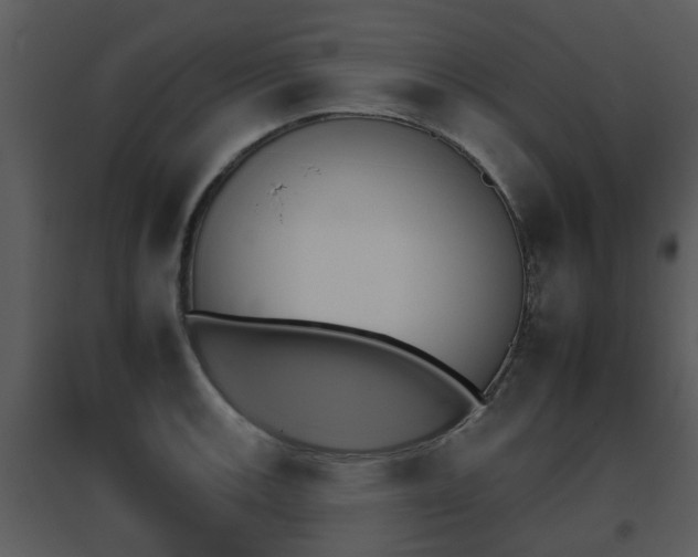 X0000095671139200801081033
