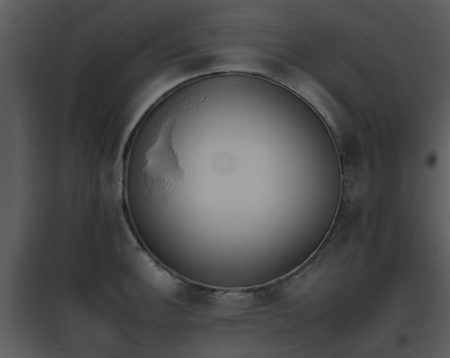 X0000095671140200801081033