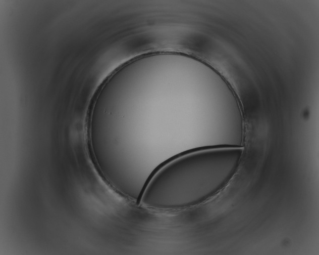X0000095671141200801081033