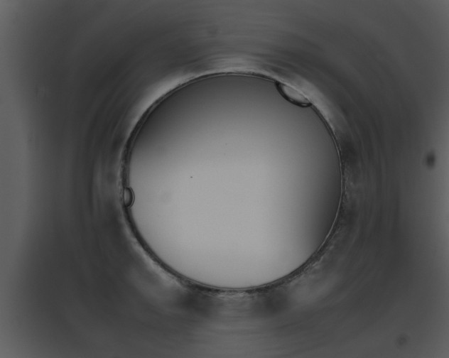 X0000095671142200801081033