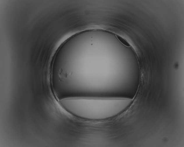 X0000095671143200801081033