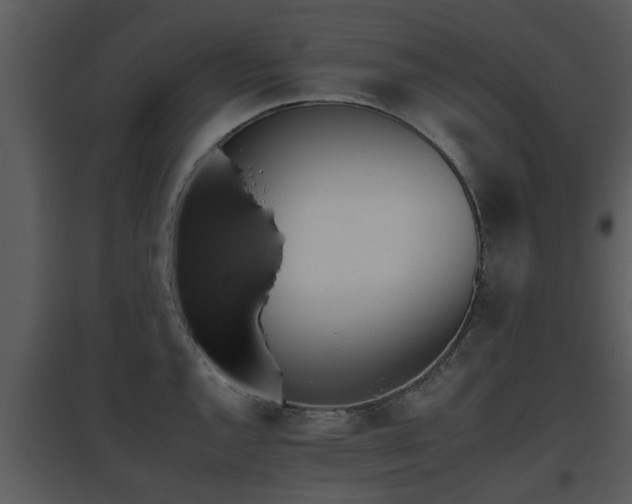 X0000095671144200801081033
