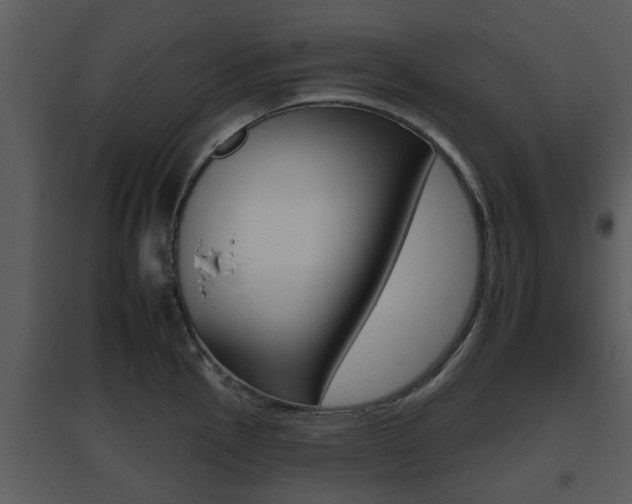 X0000095671145200801081033