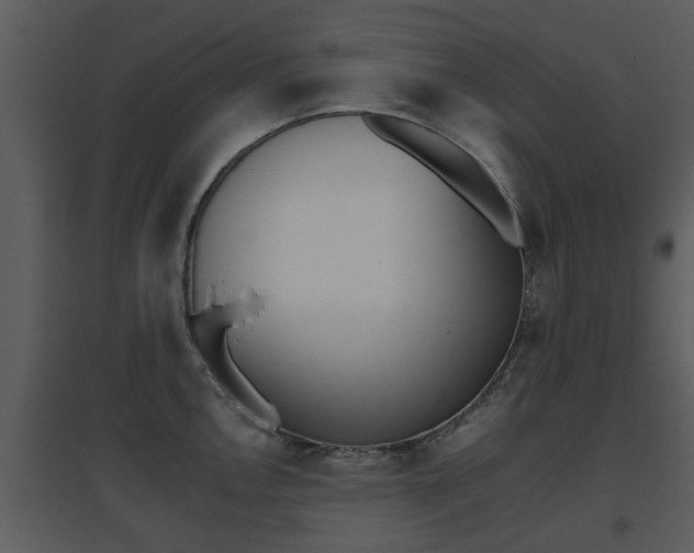 X0000095671146200801081033