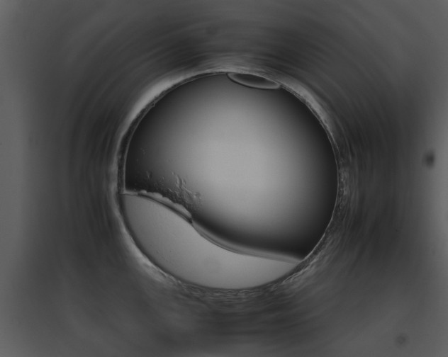 X0000095671147200801081033