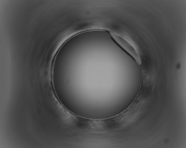 X0000095671148200801081033
