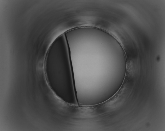 X0000095671149200801081033