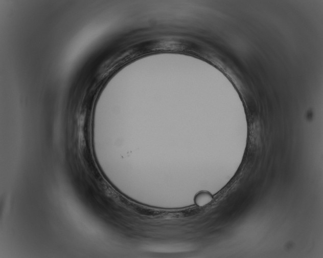 X0000095671150200801081033
