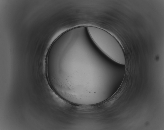 X0000095671151200801081033