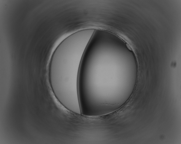 X0000095671152200801081033