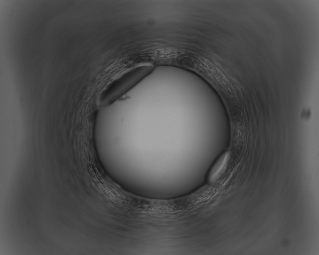 X0000095671153200801081032