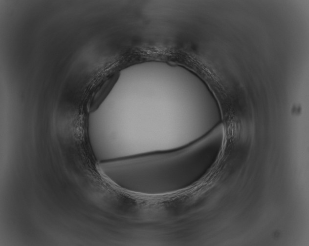 X0000095671156200801081032