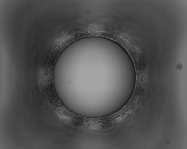 X0000095671157200801081032