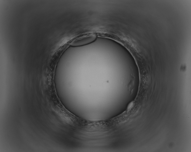 X0000095671159200801081032