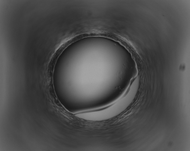 X0000095671160200801081032