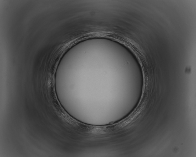 X0000095671161200801081032