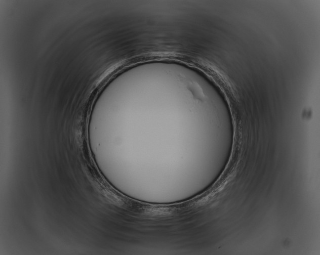 X0000095671162200801081032