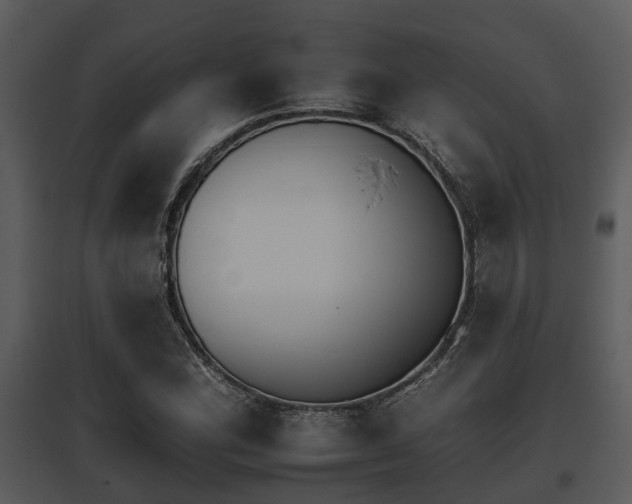 X0000095671164200801081032