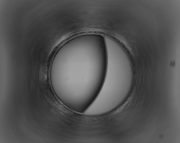 X0000095671165200801081032