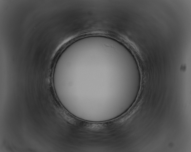 X0000095671166200801081032