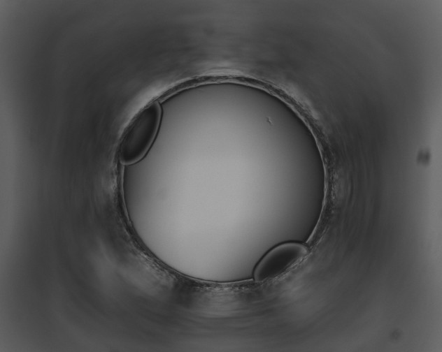 X0000095671167200801081032