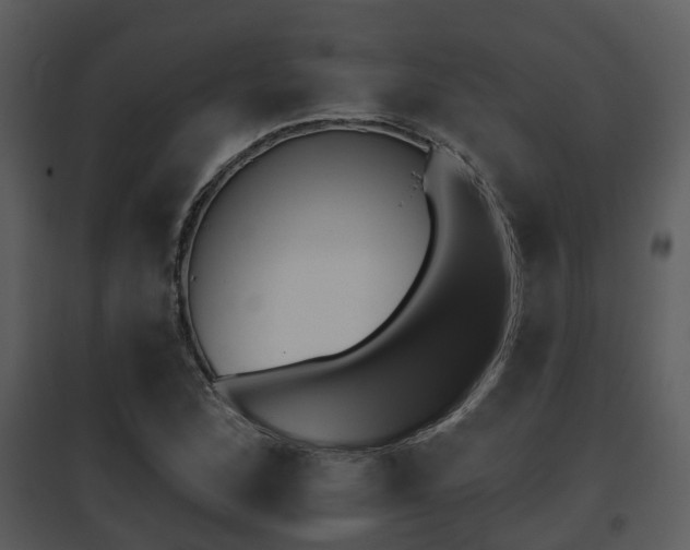 X0000095671168200801081032
