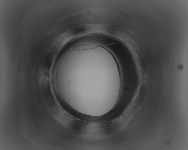 X0000095671169200801081032