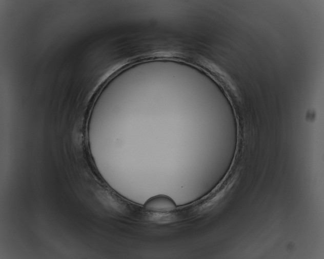 X0000095671170200801081032