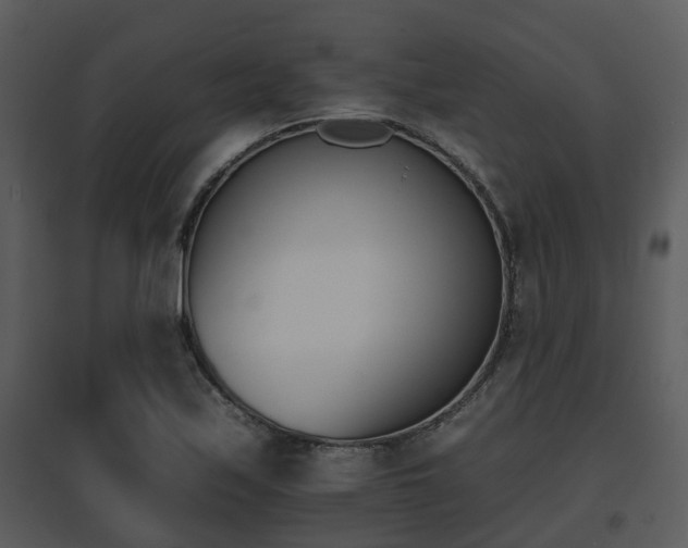 X0000095671171200801081032