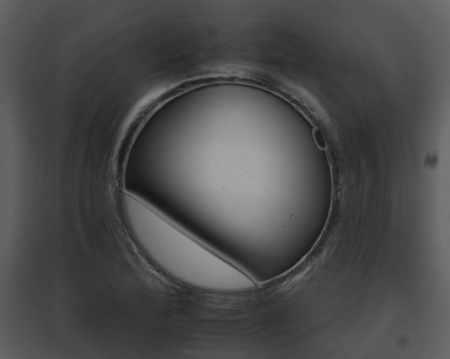 X0000095671172200801081032
