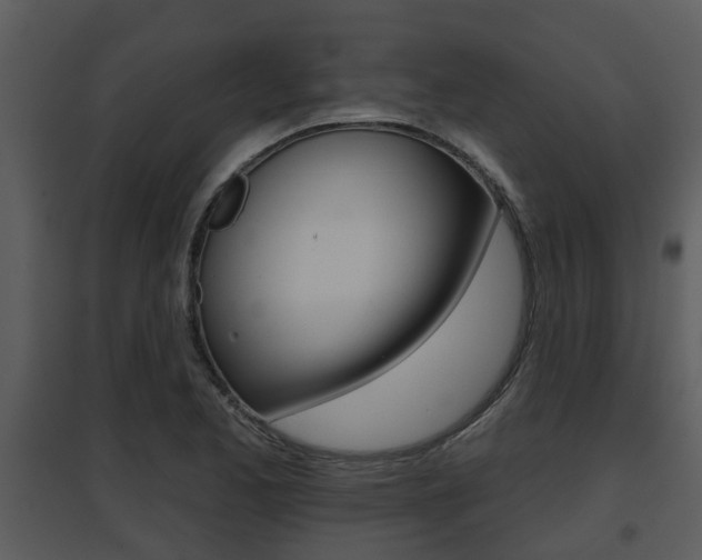 X0000095671173200801081032