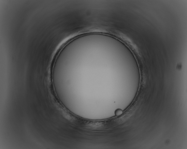 X0000095671174200801081032