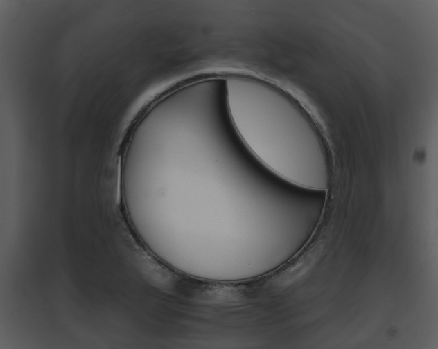 X0000095671175200801081032