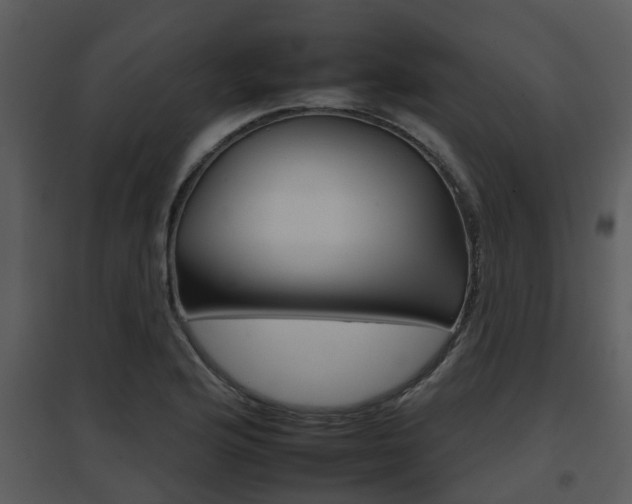 X0000095671176200801081032