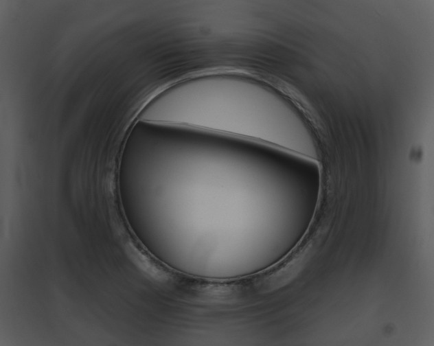 X0000095671177200801081032