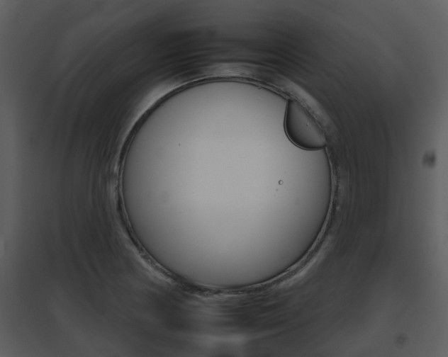 X0000095671178200801081032