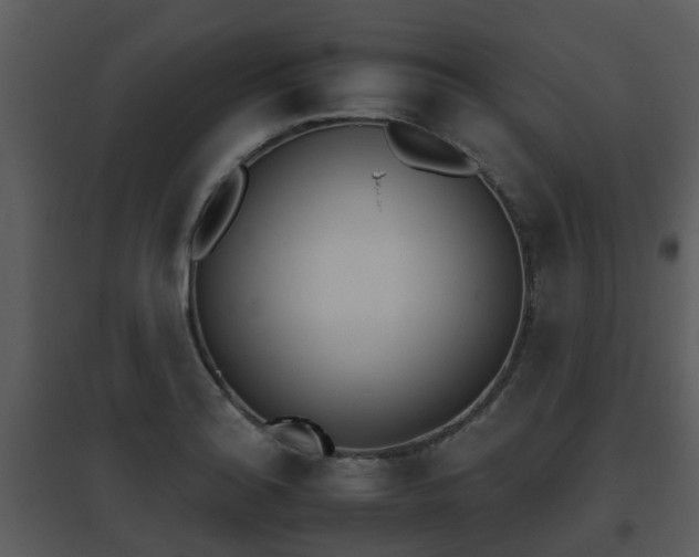 X0000095671180200801081032