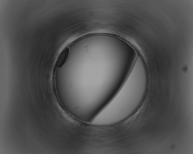 X0000095671181200801081032