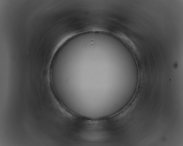 X0000095671182200801081032
