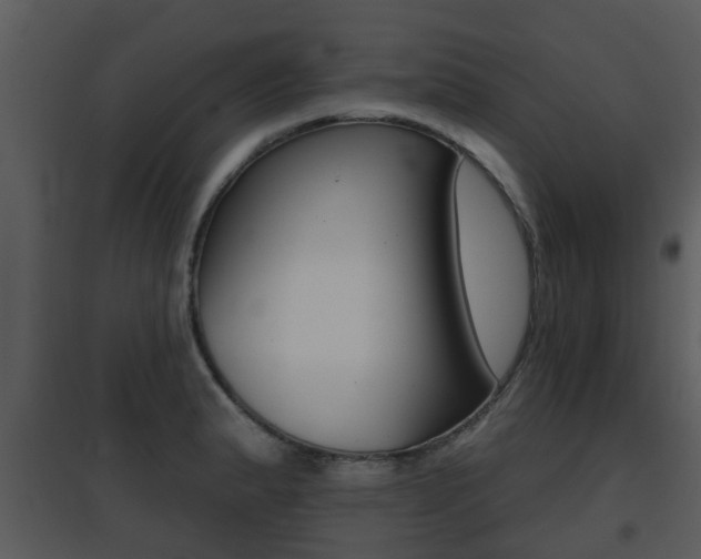 X0000095671183200801081032