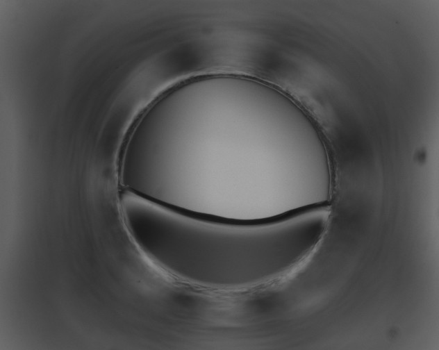 X0000095671184200801081032
