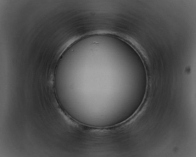 X0000095671185200801081032
