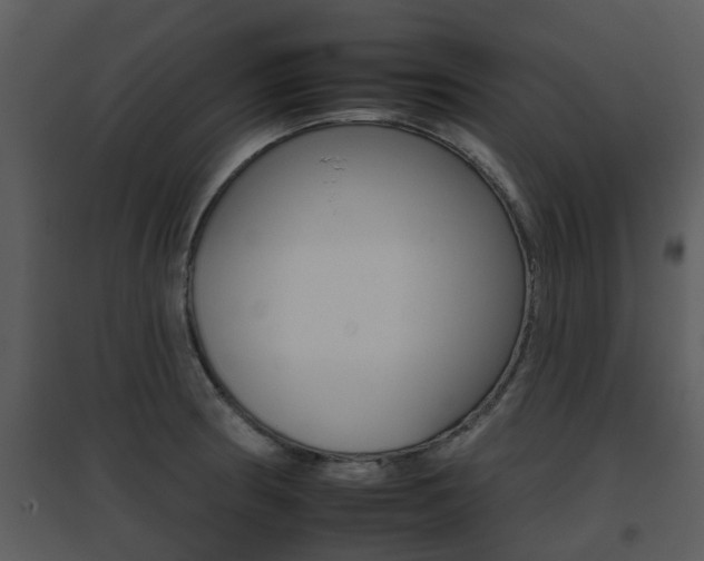 X0000095671186200801081032