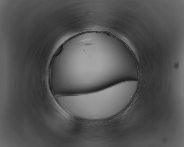 X0000095671187200801081032