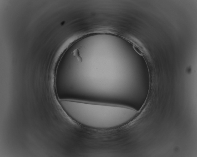 X0000095671188200801081032